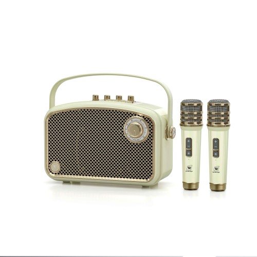 Loa Karaoke WinBridge L200