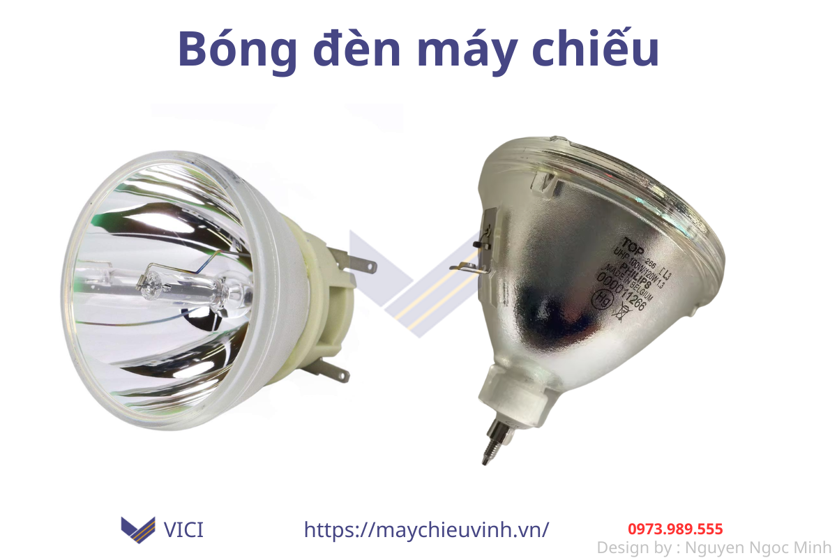 bóng đèn máy chiếu